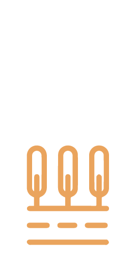 Boulevard de ingreso